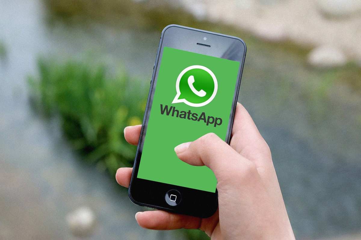 Whatsapp, in arrivo una novità: utenti molto curiosi