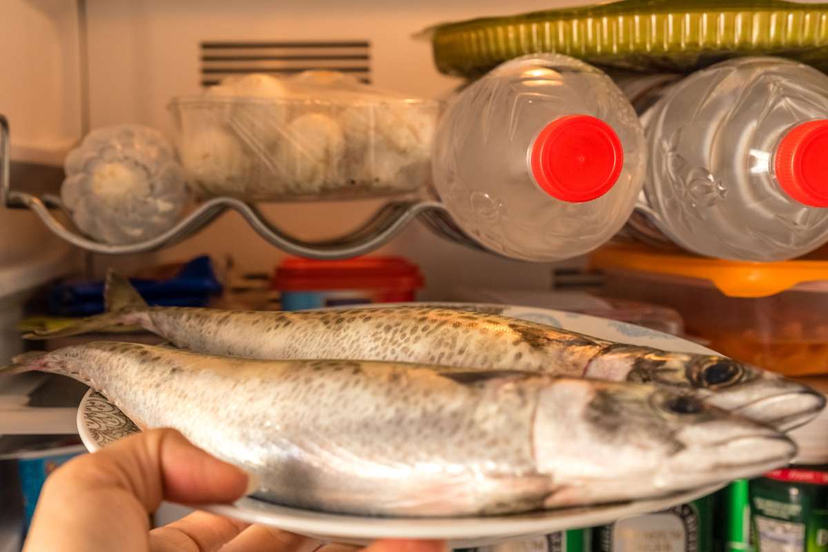 pesce in frigo